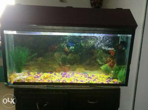 Fish tank for sale with filter, pebbles and fish