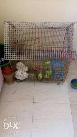 Rabbit with cage