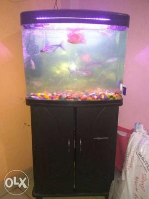 Rectangular Black Fish Tank