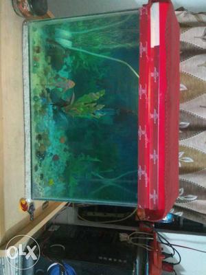 Red Cover Fish Tank