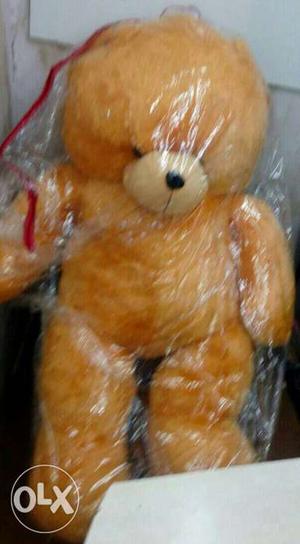 Teddy bear 5 feet available