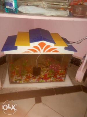 Yellow, White, Orange And Purple House Fish Tank