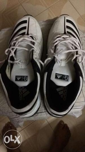 Adidas brand new shoe size 8/42.not used af all,