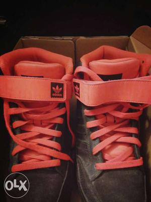 Black And Red Adidas High Top sneakers Almost new