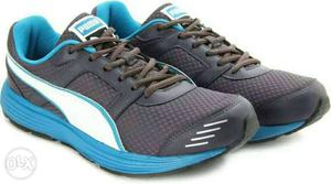 Blue-and-gray Puma Athletic Shoes
