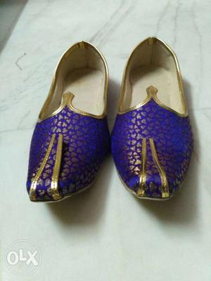 Pair Of Blue-and-gold Loafers