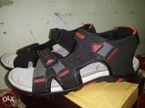 Tomcat sandal,size no.8, bought today, new,not