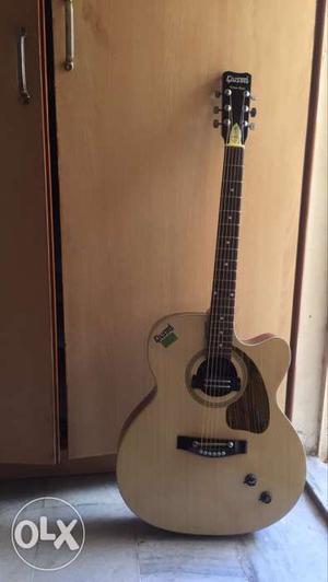 A givson acoustic guitar. Its 1 year and 3 months