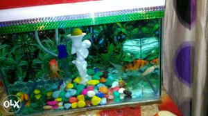 Aquarium with filter,motor,toy,four fish and fish