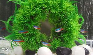 Artificial Aquarium plants