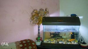 Fish aquarium complete with air pump, filter,