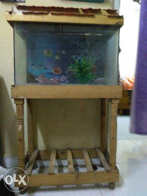 Fish tank is very good conditions with fish net