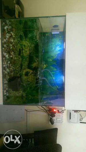 Fish tank size 2 ft x 1.5 ft ht x 1 ft wide with