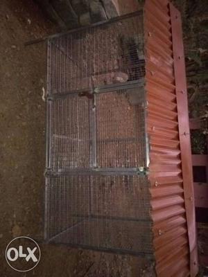 Fresh hens,dog house for sale newly produced