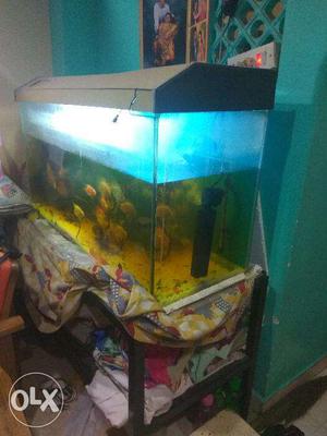 Good condition Fish tank 4m with stand, 2 motors