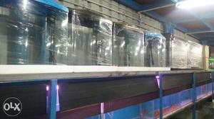 Imported fish tanks available (start with rs)