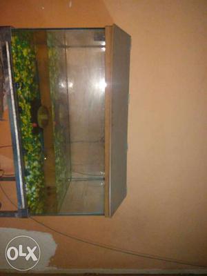 Large Fish Tank with the stand