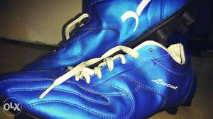 Pair Of Blue-and-black Lucent Soccer Cleatsc s