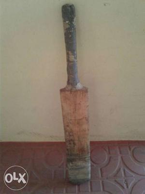 SS brande cricket ball bat.. nice condition..for