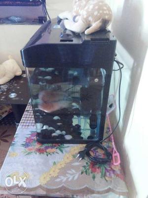 Tank is with inbuilt filter n in use condition