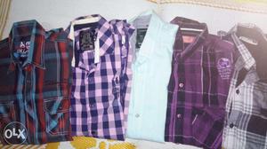 5 new Branded shirts in rs size m/L