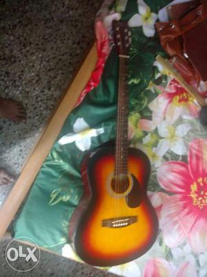 Clayton guitar with bag