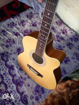 Hertz Company Acquiostic Guitar only 1 month used