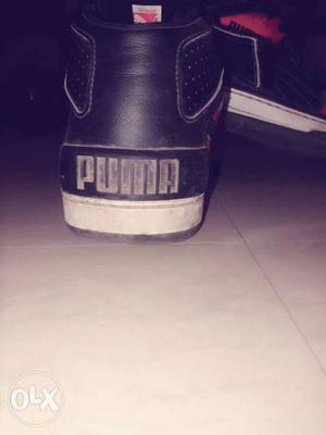 It's a puma shoes it's 6 months old so any one