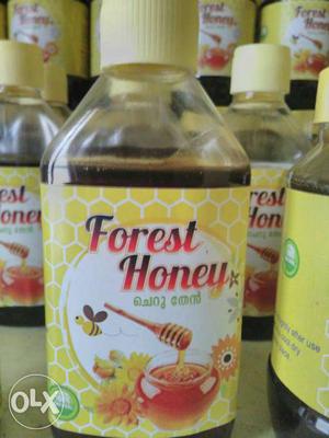 Forest Honey Bottle Lot