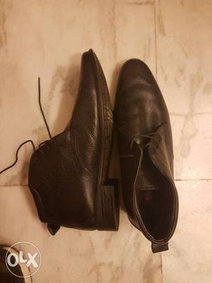 Lee Cooper men black formal shoes