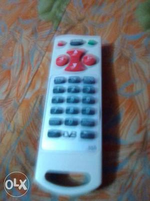 Red And Grey Remote