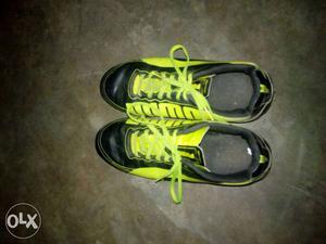 Sport shoe of 4 no. brand is of puma