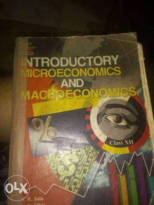 Introductory Microeconomics And Macroeconomics