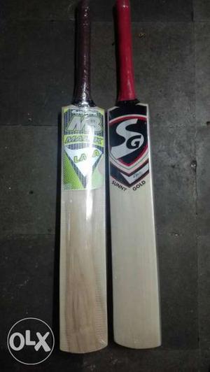New Season Cricket bat