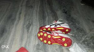 Asics cricket spikes shoes