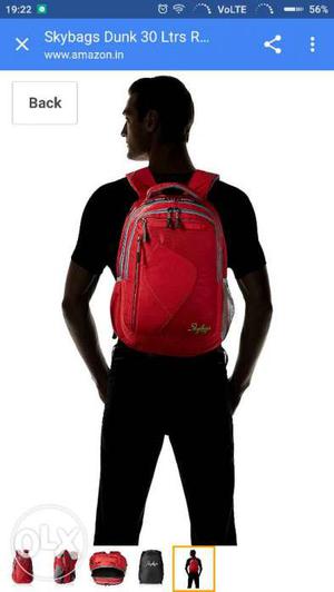 Brand new Skybag backpack with rain cover (red)