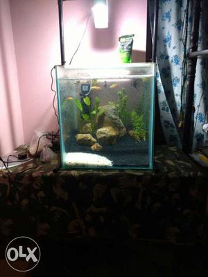 4mmplaned aquarium with all accessories