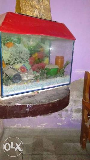 A very good condition aquarium now not in use so