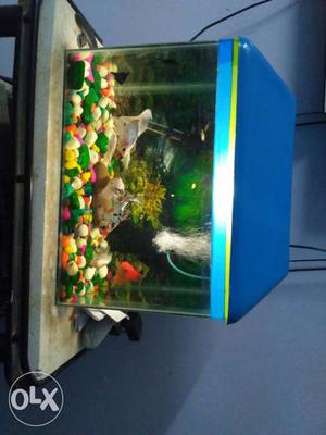 Aquarium fish tank in good condition