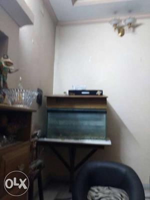 Aquarium for sale...reason is shifting to another