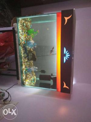 Aquarium with filter, two lights, table, rock and