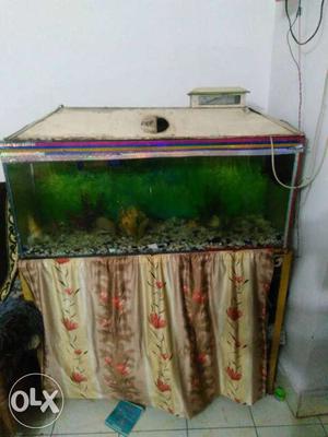 Aquarium with fish & stand etc on sale