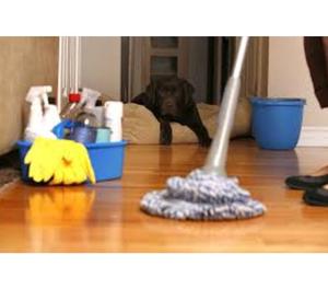 Best Home-Cleaning Services in Nashik Nashik