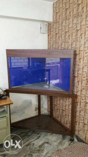 Brown And Blue Clear Fish Tank