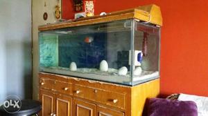 Brown Fish Tank Cabinet