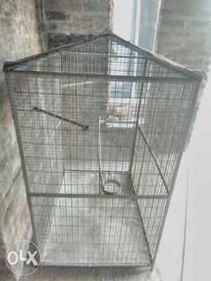 Double neted Iron cage 1 year old. size 3ft.
