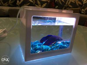 Fish Tank With Fish For Sale.