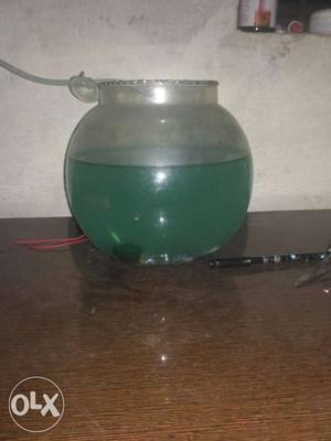 Fish bowl is new and to fish
