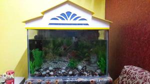 Fish tank 2 x 2 with all accessories heater,water