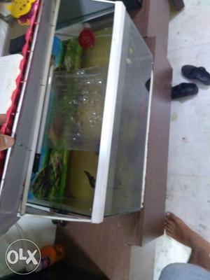 Fish tank Good quality with oxygen supplier and 3